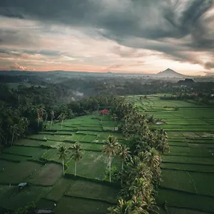 Ayu Duwur Beji 3*, Убуд Индонезия
